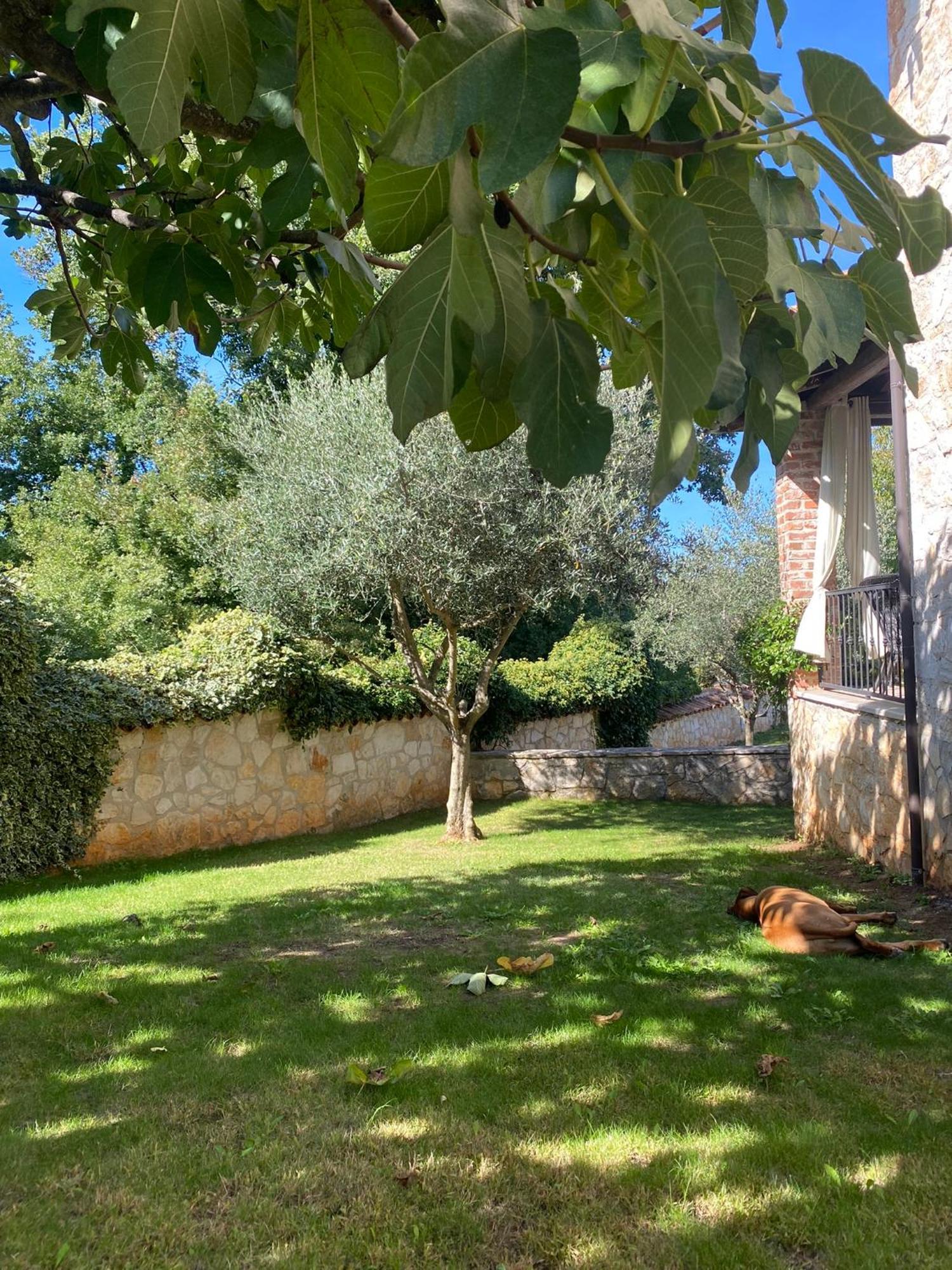 Isabella - Ruheoase Villa Poreč